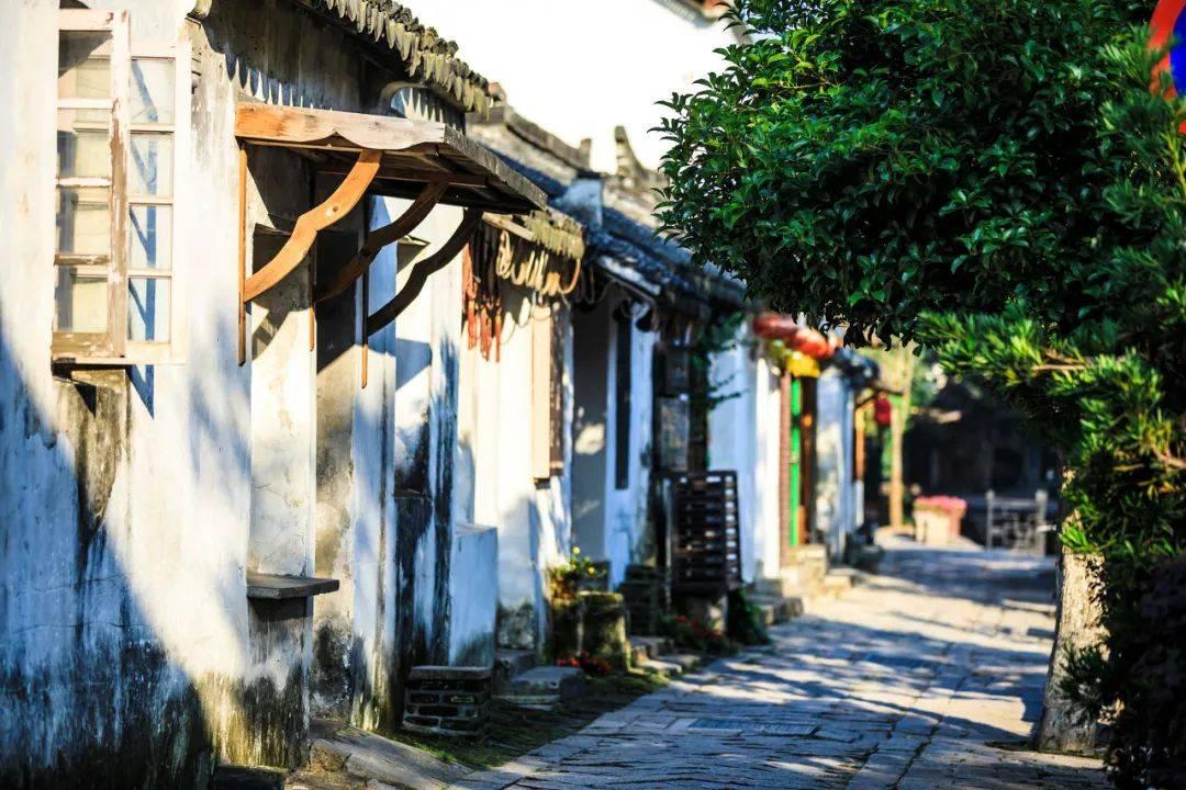 无忧国际wy6999